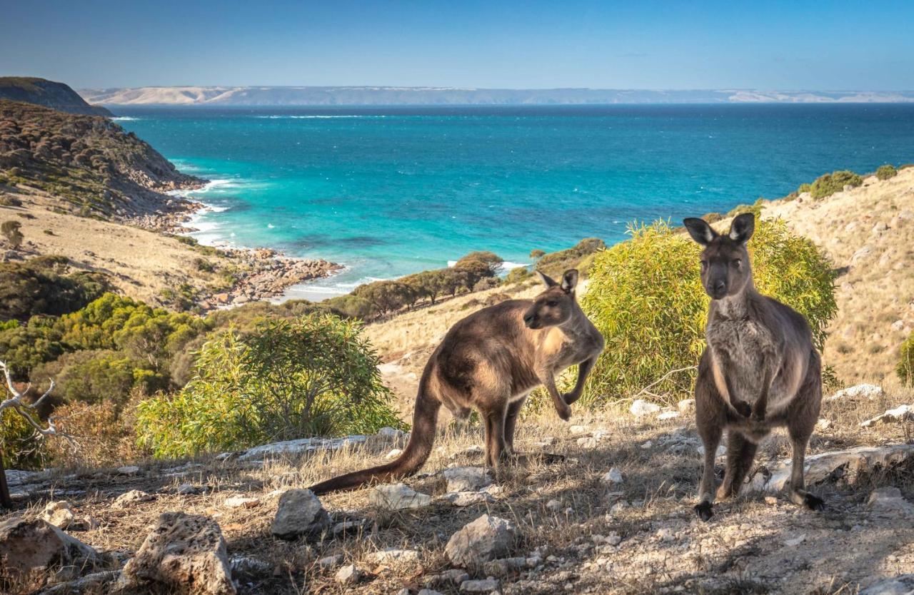 פנשואו Sea Dragon Kangaroo Island מראה חיצוני תמונה